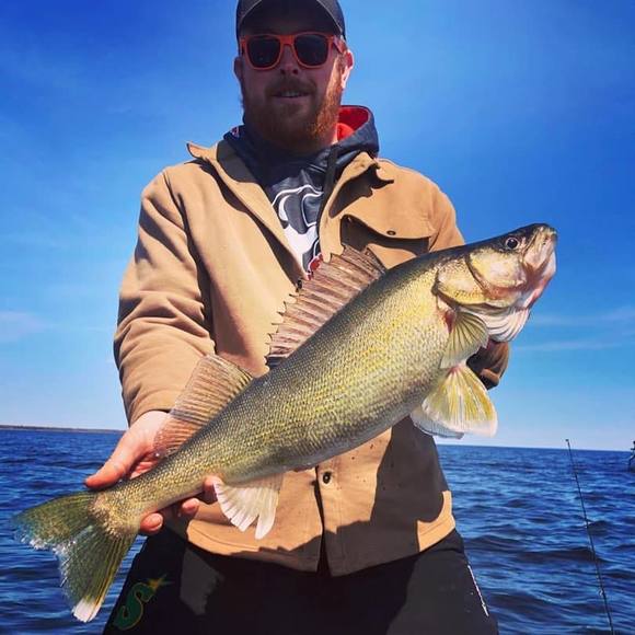 Meet your Posher, Codey - Picture 1 of 1